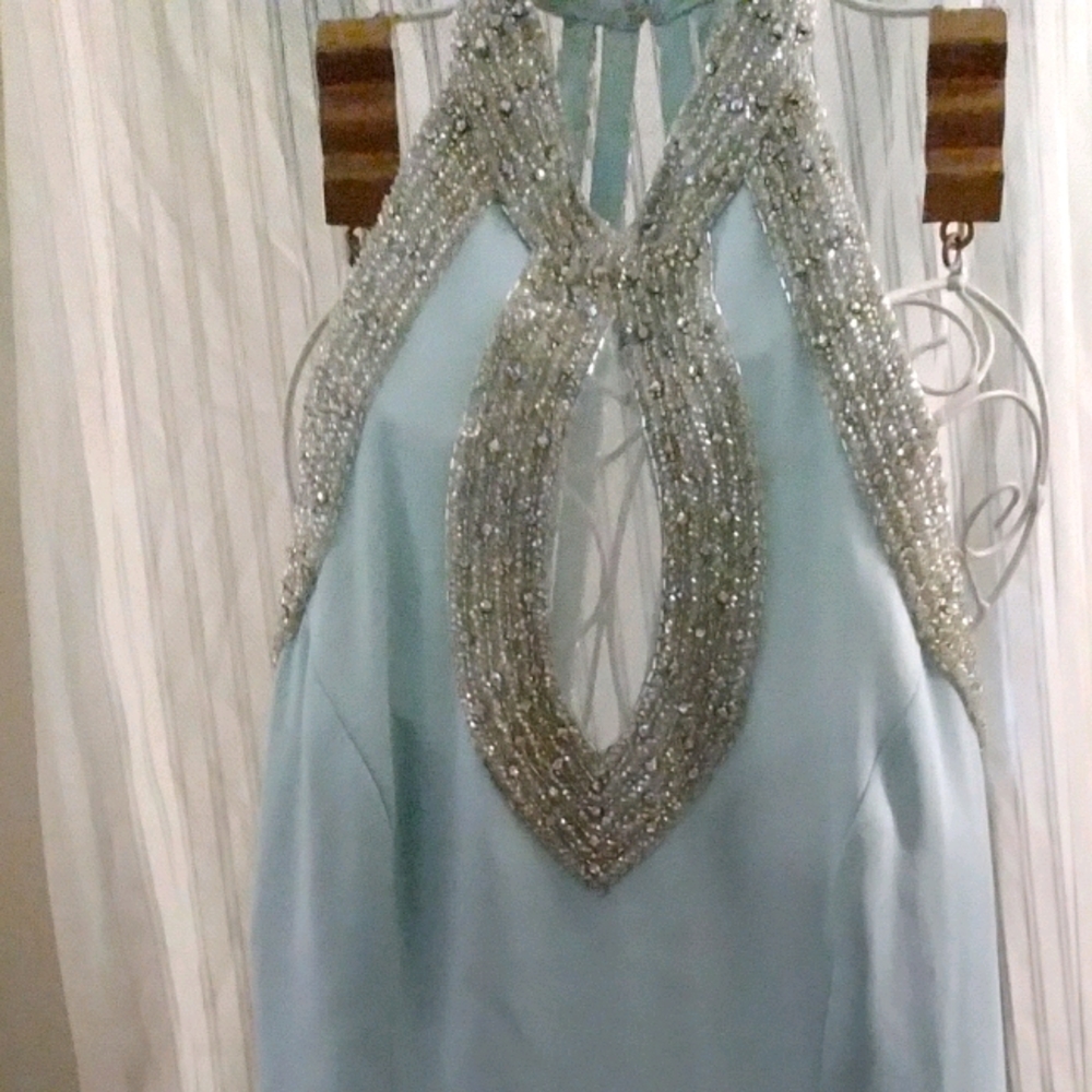 Peak Evenings Custom made gown.